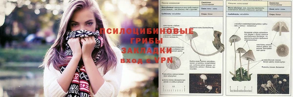 синтетический гашиш Каменка