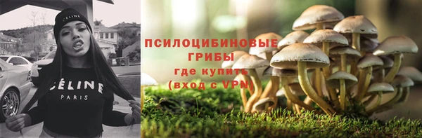 мет Каменногорск