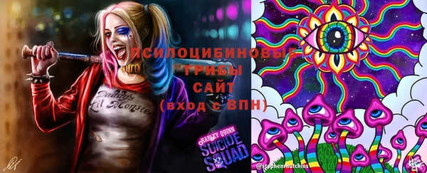 мет Каменногорск