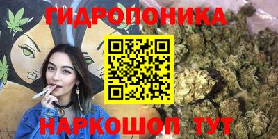молекула духа Ликино-Дулёво