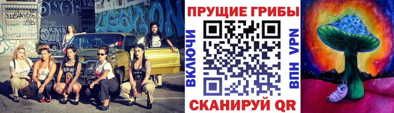 Купить Касимов Галлюциногенные грибы прущие грибы