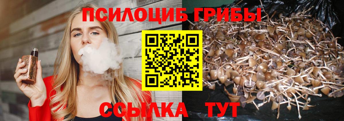 Касимов  Галлюциногенные грибы прущие грибы  Вход с VPN 