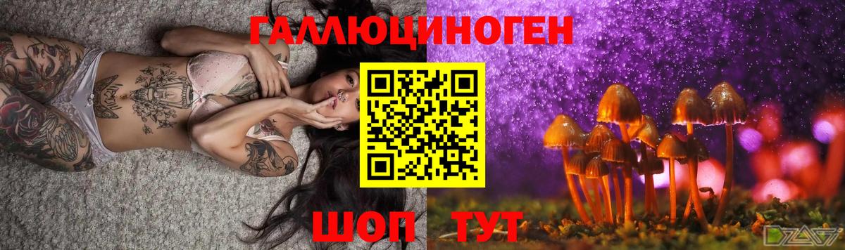 дарнет шоп  Касимов  Псилоцибиновые грибы Psilocybe 