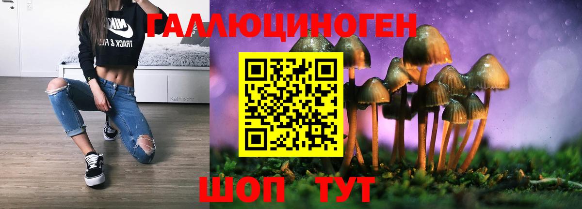 Галлюциногенные грибы Psilocybine cubensis Касимов
